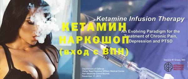 крисы Ельня