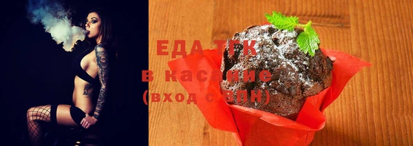 мдпв Елабуга