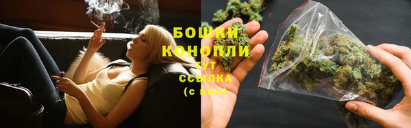 крисы Ельня