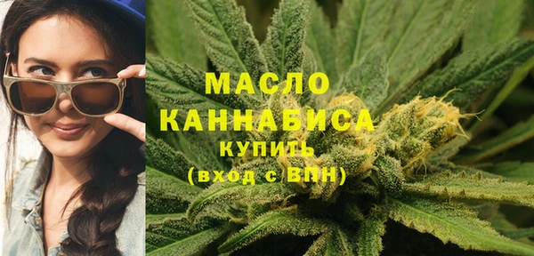 крисы Ельня