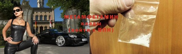 крисы Ельня