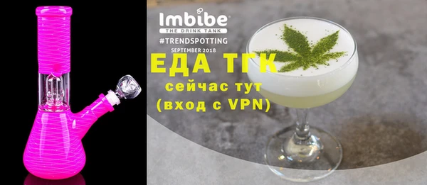 мдпв Елабуга