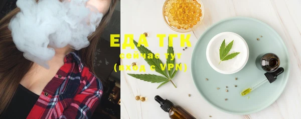 крисы Ельня