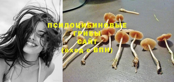 spice Елизово