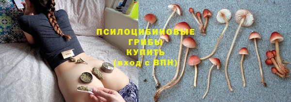крисы Ельня