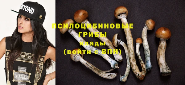 крисы Ельня