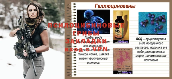 spice Елизово