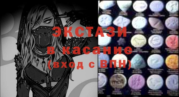 крисы Ельня