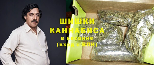 мдпв Елабуга