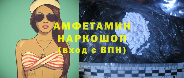мдпв Елабуга