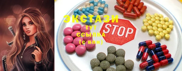 крисы Ельня