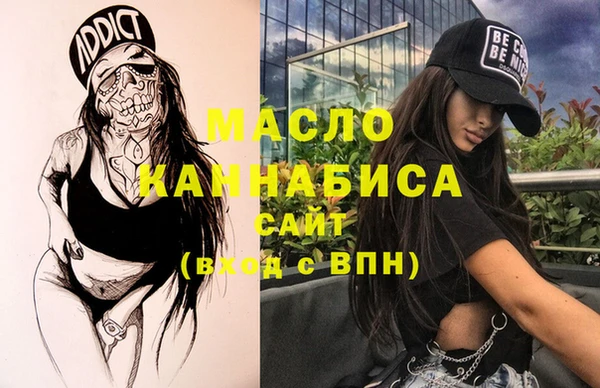 крисы Ельня