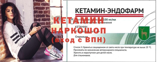 крисы Ельня