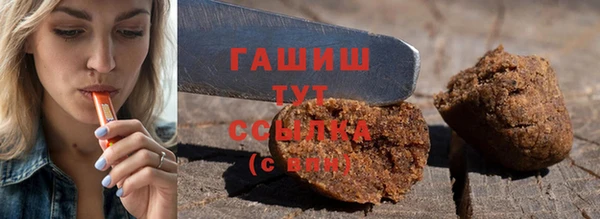 мдпв Елабуга