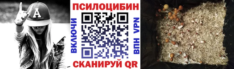 Псилоцибиновые грибы Psilocybine cubensis Иланский
